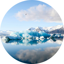 글레이셔베이 국립공원의 빙하와 야생동물이 서식하는 원시 자연